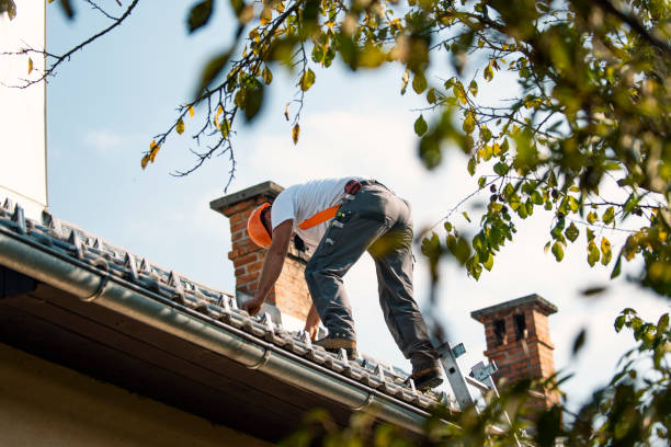 Best Roof Moss and Algae Removal  in Clemmons, NC